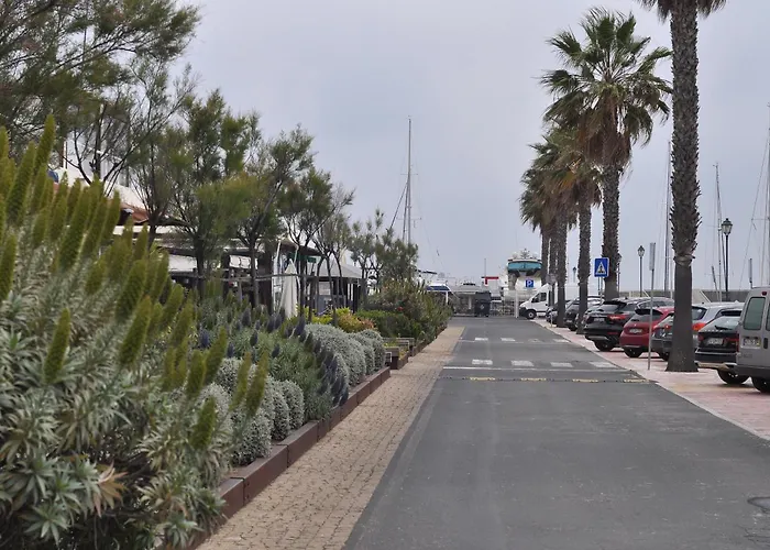 Manelisa Cascais