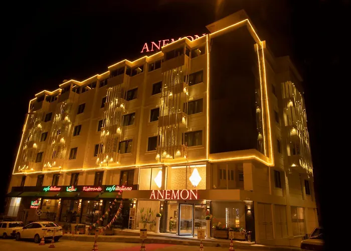 Hotels in Uşak