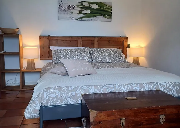 Le Clementine B&B Camogli