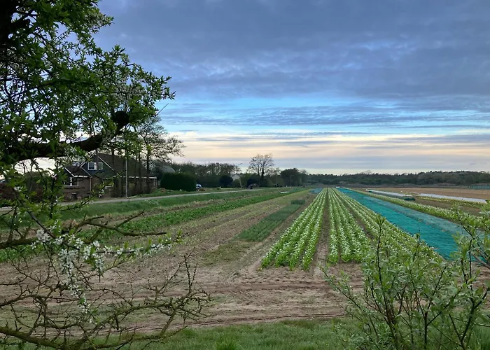Lowlander Bnb Heemskerk