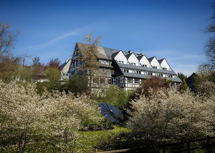 Hotel & Gasthof Hubertushoehe - Ihr Hotel Fuer Urlaub Mit Hund Schmallenberg