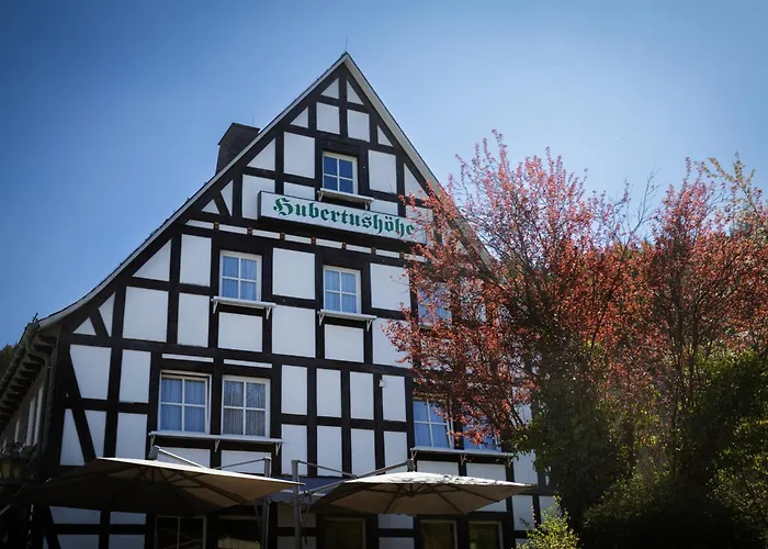 Hotel & Gasthof Hubertushoehe - Ihr Hotel Fuer Urlaub Mit Hund Schmallenberg