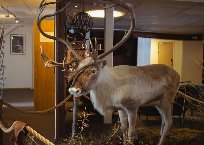 Hoteles en Arjeplog