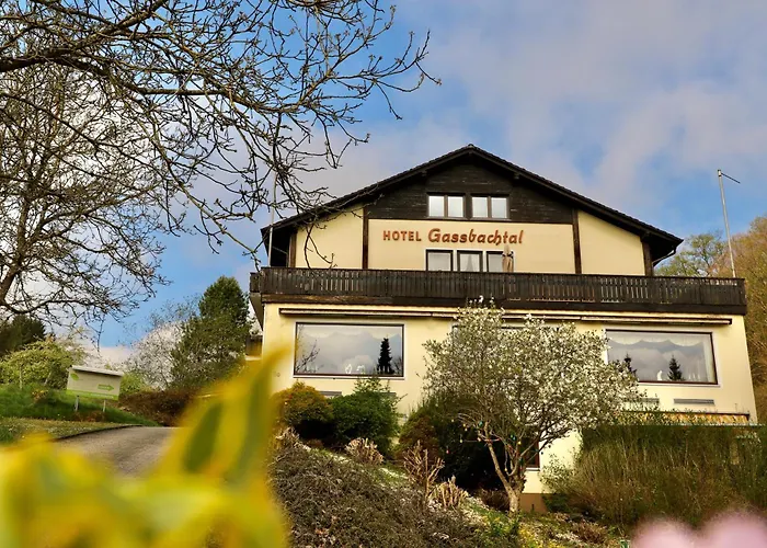 Hotel Gassbachtal Grasellenbach