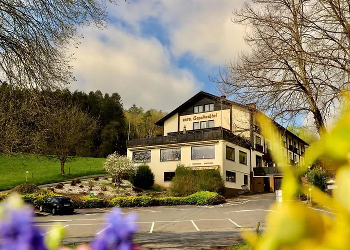 Hotel Gassbachtal Grasellenbach