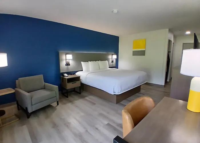 Comfort Inn Near Downtown & Blue Ridge Pkwy