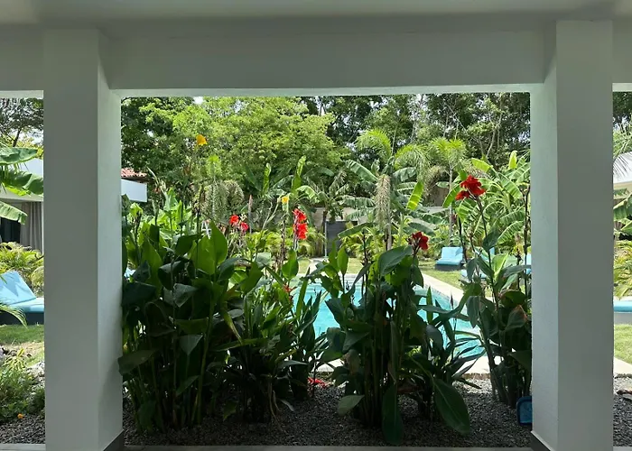 Coco Hotels