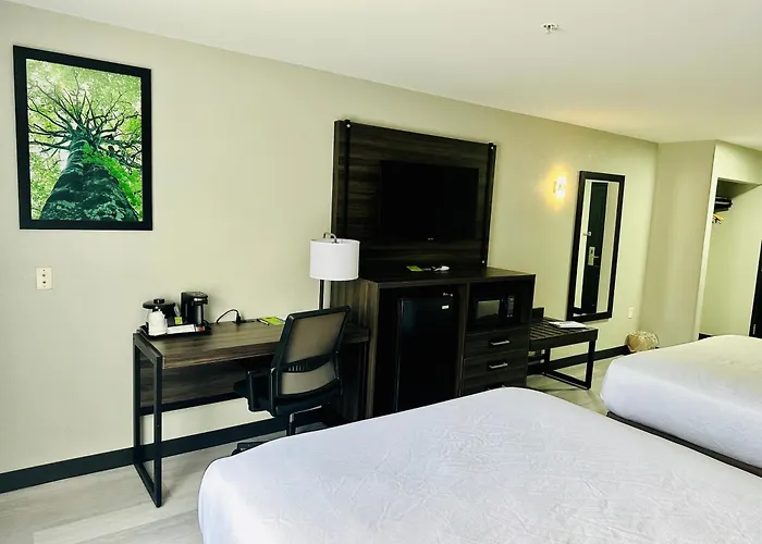 La Quinta By Wyndham Rome Hotel