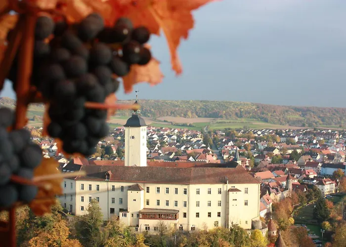 Hotels in Gundelsheim (Baden-Wurttemberg)