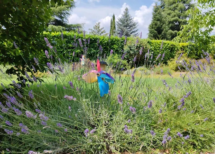 Stella Polare B&B Rieti