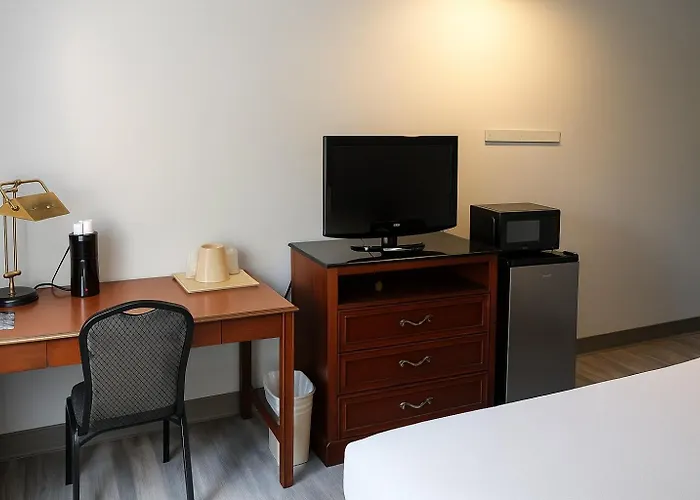Darlington Hotels