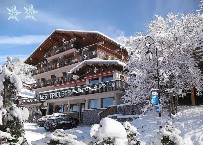 Hôtel Les Triolets Châtel