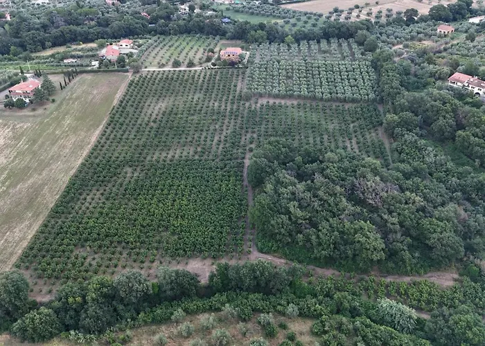 Agriturismo Le Quattro Stagioni Viterbo