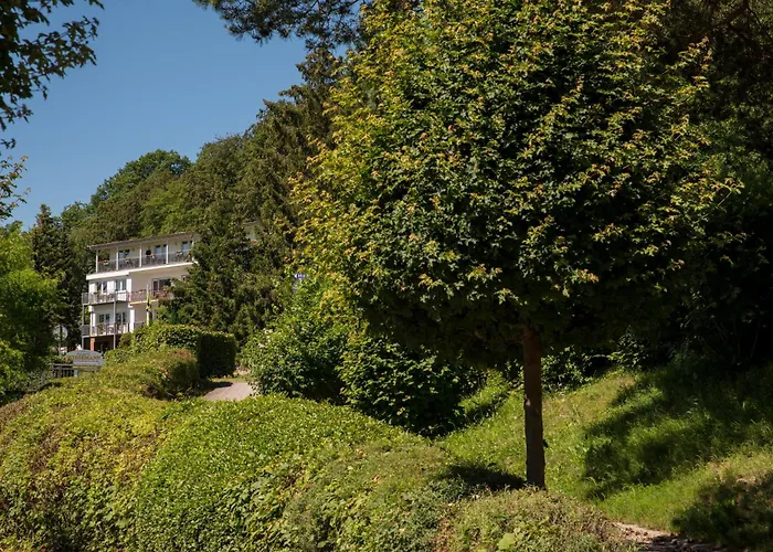PlusNaturHotel direkt am Ederseeufer Waldhotel Wiesemann und Ferienapartments