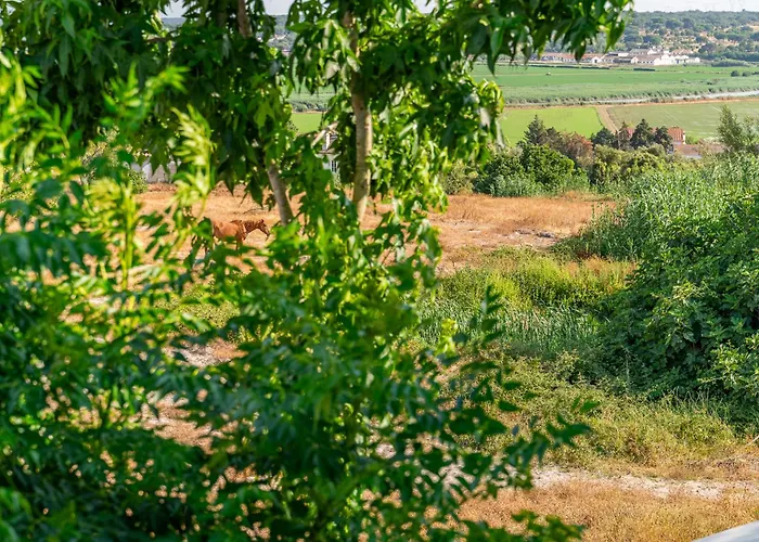 Hotéis em Alcácer do Sal