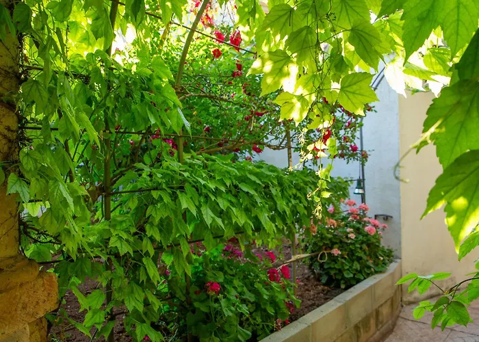 Hostal Los Rosales Alcaraz