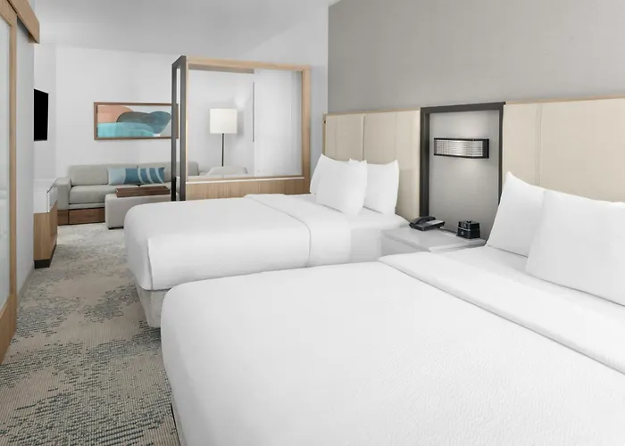 Springhill Suites By Marriott Idaho Falls