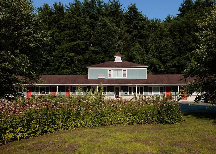 The Little Lion Motel Great Barrington