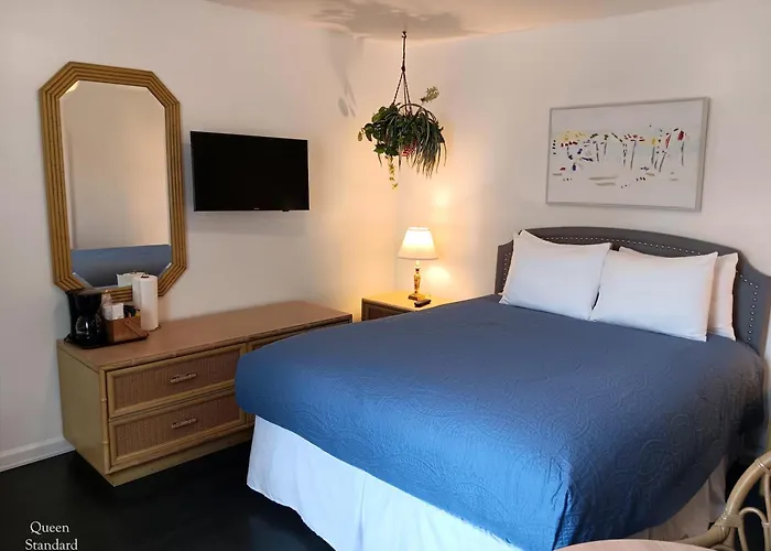 The Cozy Inn St. Augustine