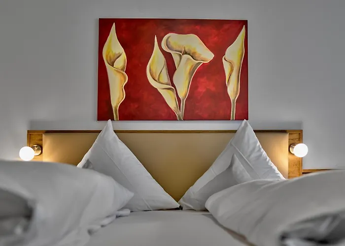 Hotels in Blaibach