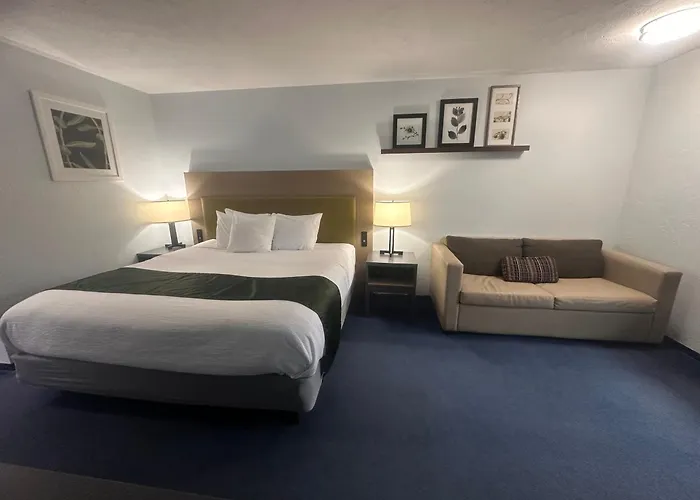 Pictured Rocks Inn And Suites Munising