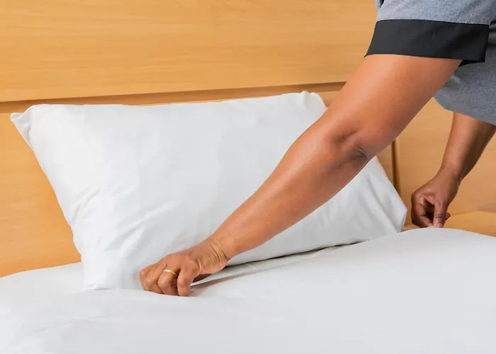 Ibis Santos Valongo Hotel