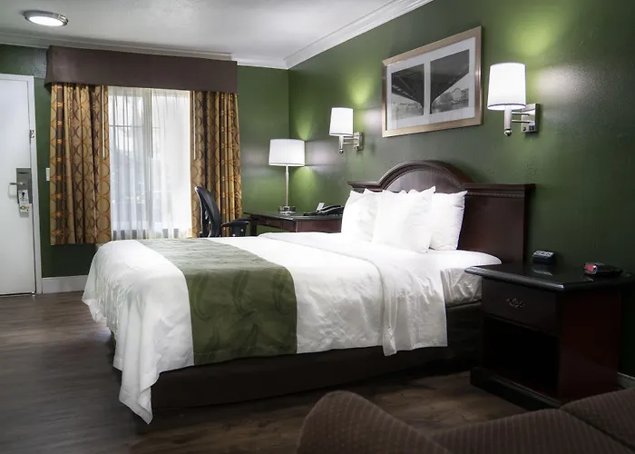 Quality Inn Hemet - San Jacinto