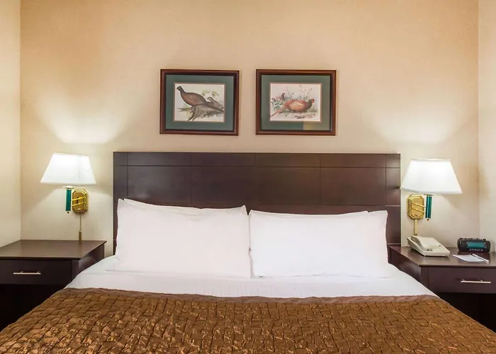 Hawthorn Extended Stay By Wyndham El Paso
