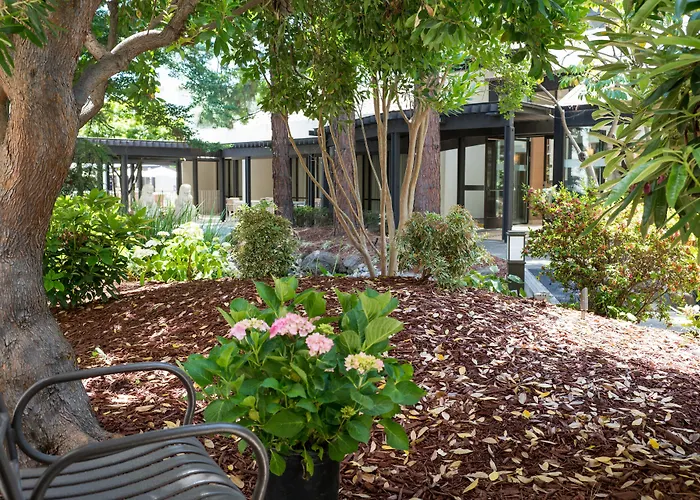 Sheraton Palo Alto Hotel