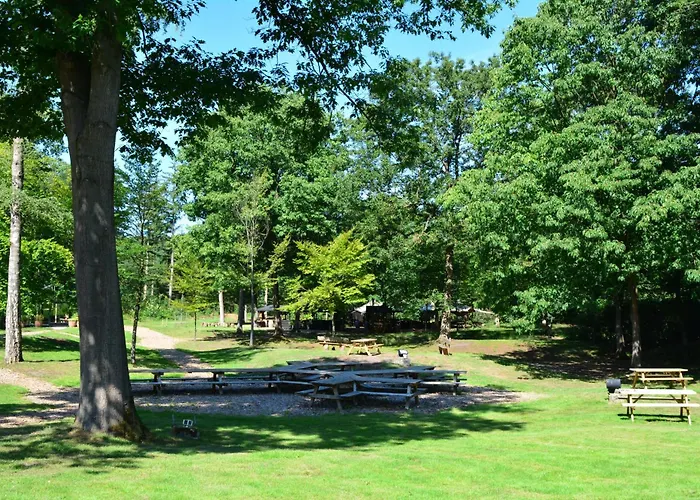 Hotels in Wolfheze