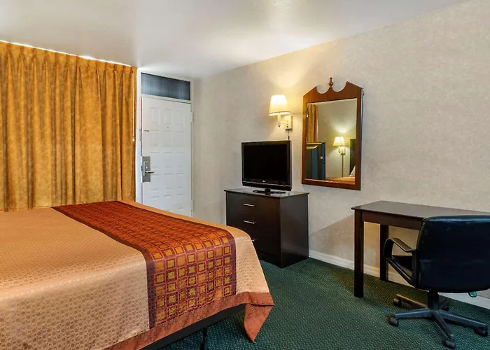 Rodeway Inn Clearwater-Largo