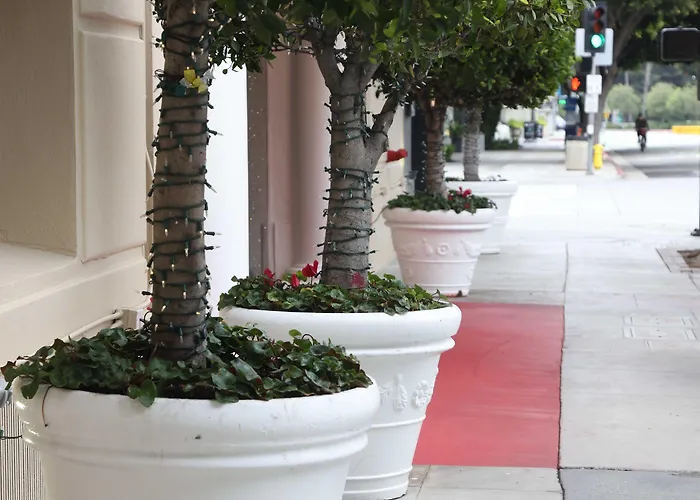 Hotel Carmel Santa Monica