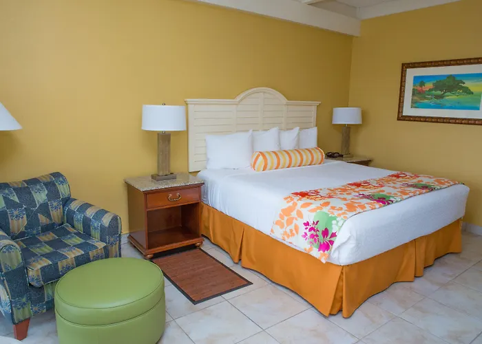 Dunedin Hotels