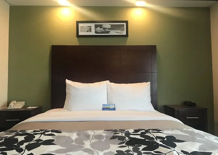 Flat Rock Hotels