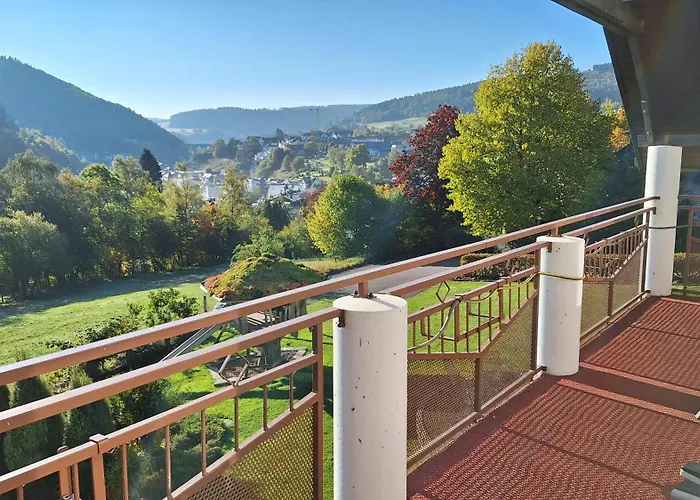 Haus Alexandra Inkl Meinecard Plus Willingen 