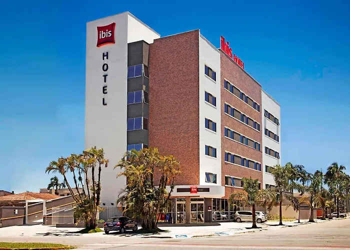 Ibis Paranaguá