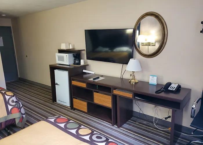 Shelton Hotels