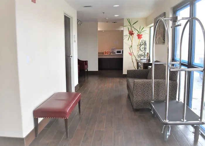 Super 8 By Wyndham New Braunfels I-35 Hotel