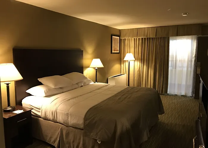 Wyndham Garden Ann Arbor Hotel
