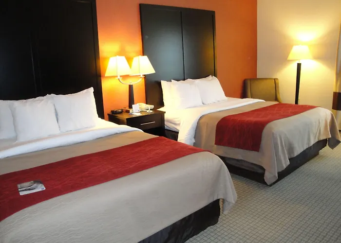Comfort Inn & Suites York North