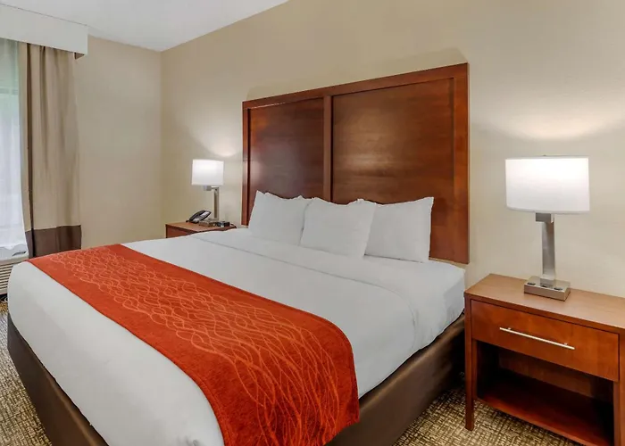 Comfort Inn & Suites Canton Riverstone Area