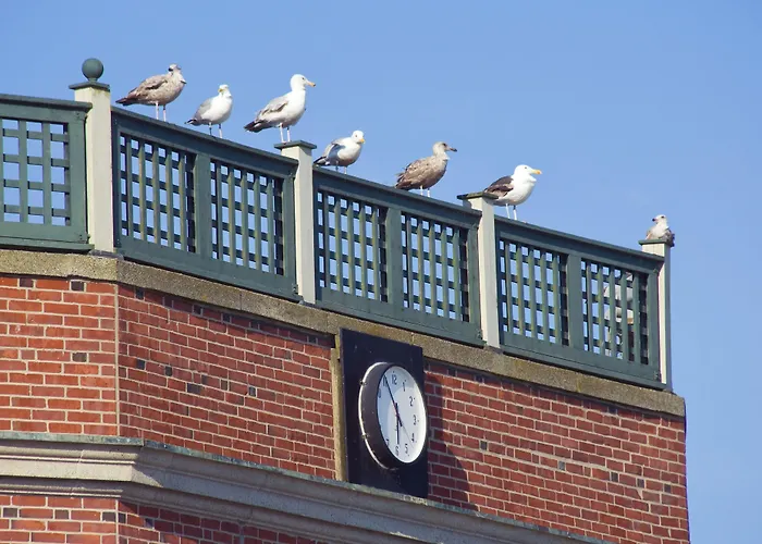 Newport Beach Hotel & Suites Middletown