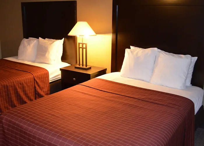 Comfort Inn Detroit Downtown