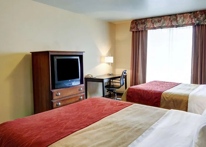 Comfort Inn & Suites Amarillo West Near Medical Center