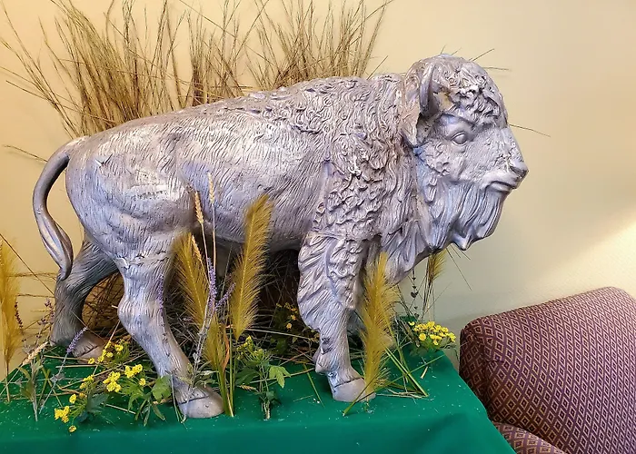 Bison Plains Lodge