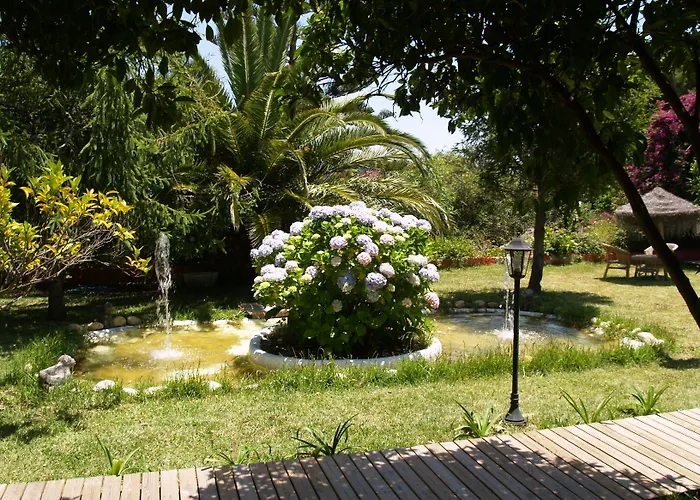 Hotels in Tarifa