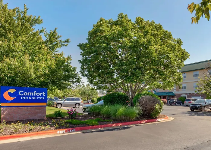 Comfort Inn & Suites Fayetteville-University Area