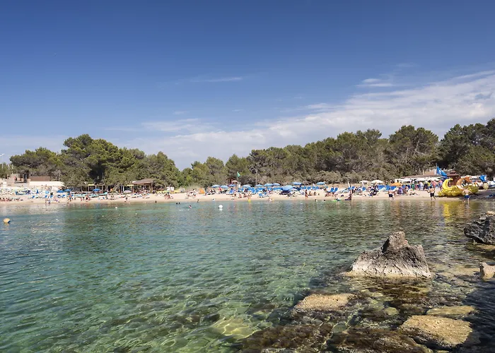 Hotels in Port d'es Torrent