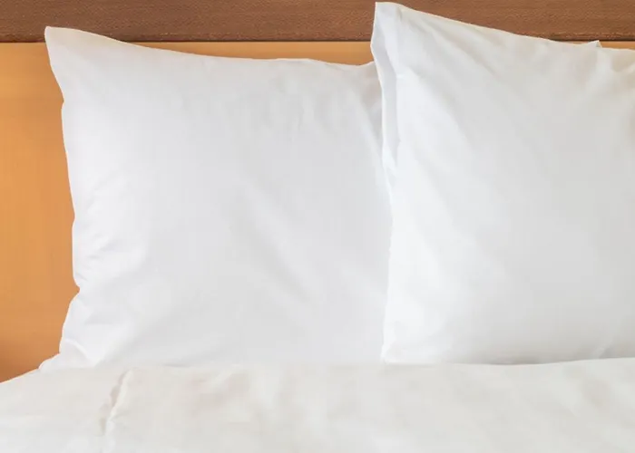 Newton Falls Hotels