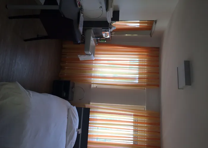 Hotel Du Commerce Basilea